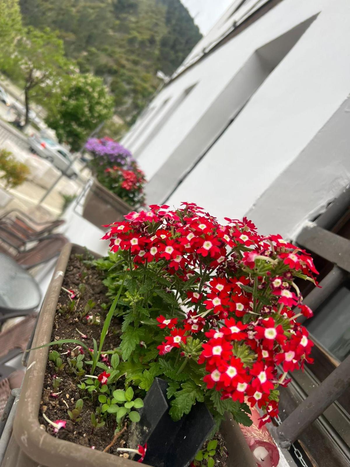 Hotel Omer Berat Szoba fotó